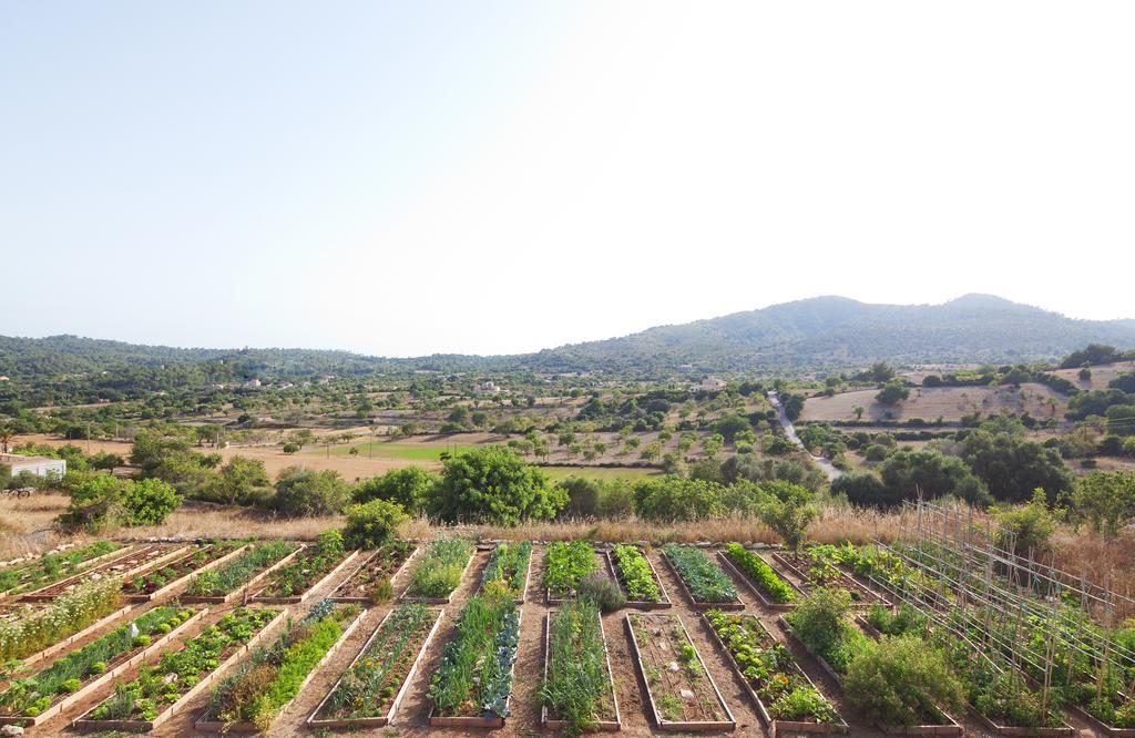 Agroturismo Ses Cases De Fetget (Adults Only) 손 서베라 외부 사진